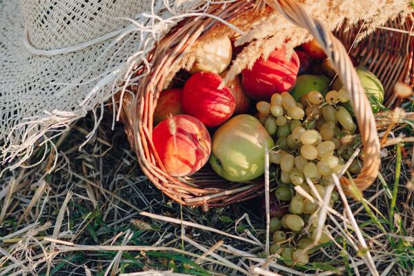 Что собирать в июле: календарь сбора урожая