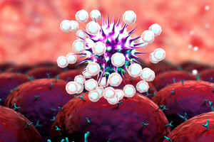 Иммунный ответ: как наш иммунитет уничтожает вирусы и инфекции