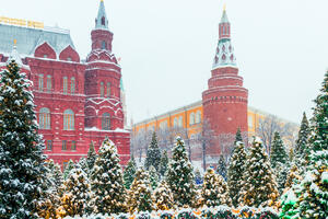 Выпадет ли снег в Москве к Новому году 2026 — синоптик Позднякова сделала новый прогноз