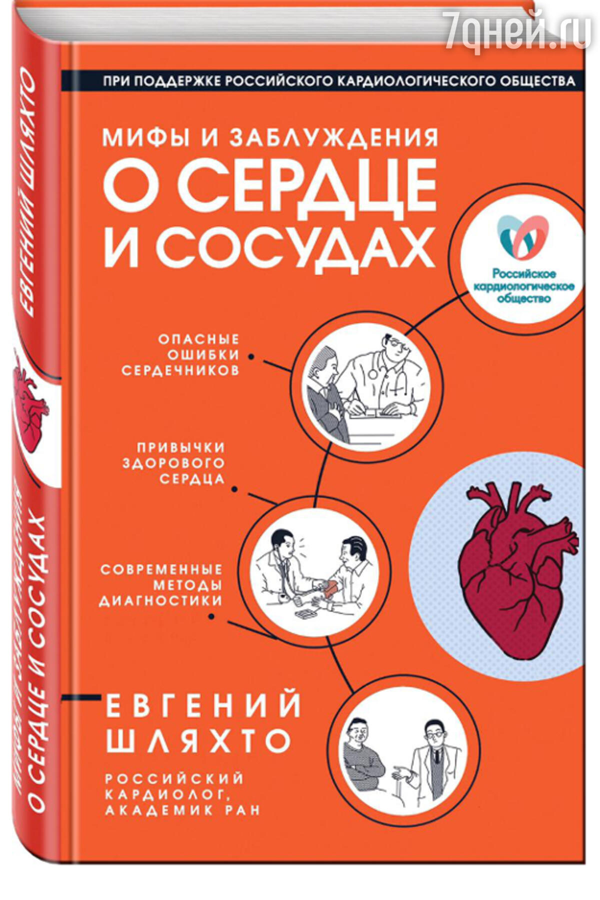 Очистители сосудов: продукты, которые помогут снизить уровень холестерина -  7Дней.ру