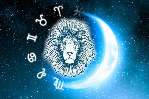 :  ,       24 