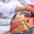 Частицы микропластика были найдены в тканях человеческого сердца