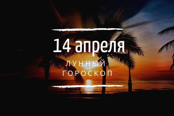    14 , 