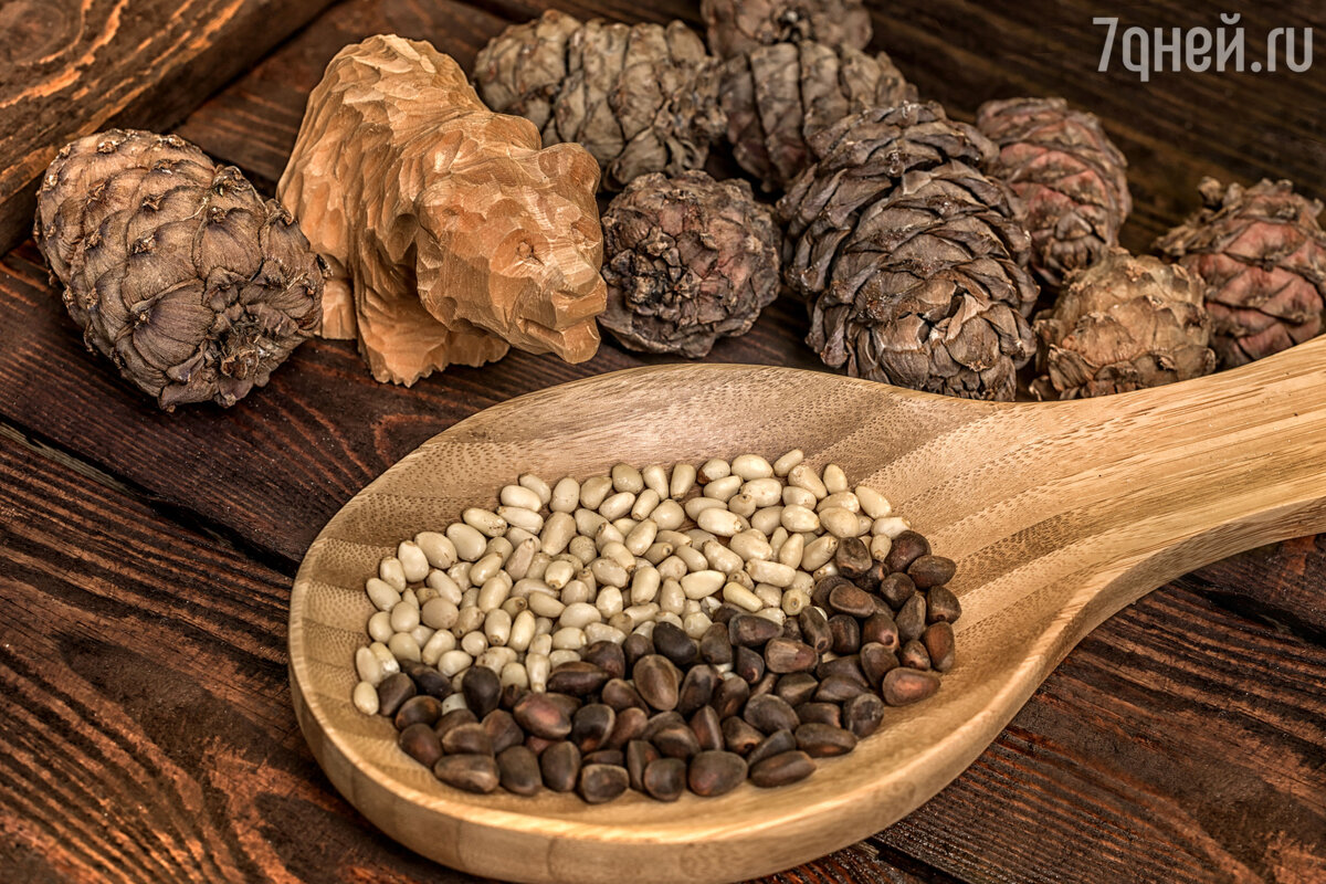 Вкуснейшая настойка на кедровых орехах на водке: рецепт проверенный поколениями