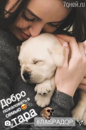 Анастасия Костенко