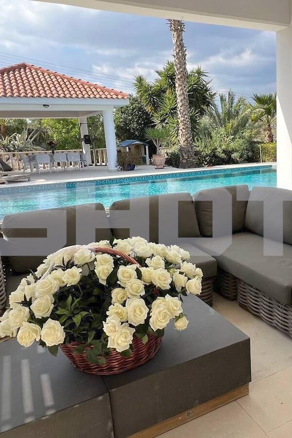 Дешевая мебель и комната для прислуги: как выглядит вилла Реввы за 100 миллионов