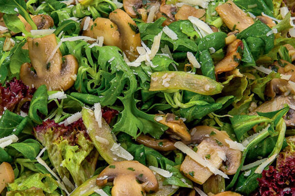 Рецепты от Юлии Высоцкой: омлет с лисичками, форель в соляной шубе и салат с шампиньонами «Осенний экспромт»