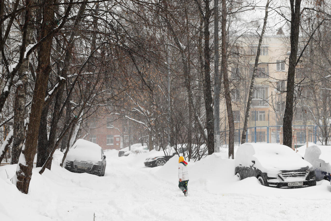 86 Чего ждать от циклона «Вивиан», обрушившегося на Москву — синоптик Леус сделал прогноз