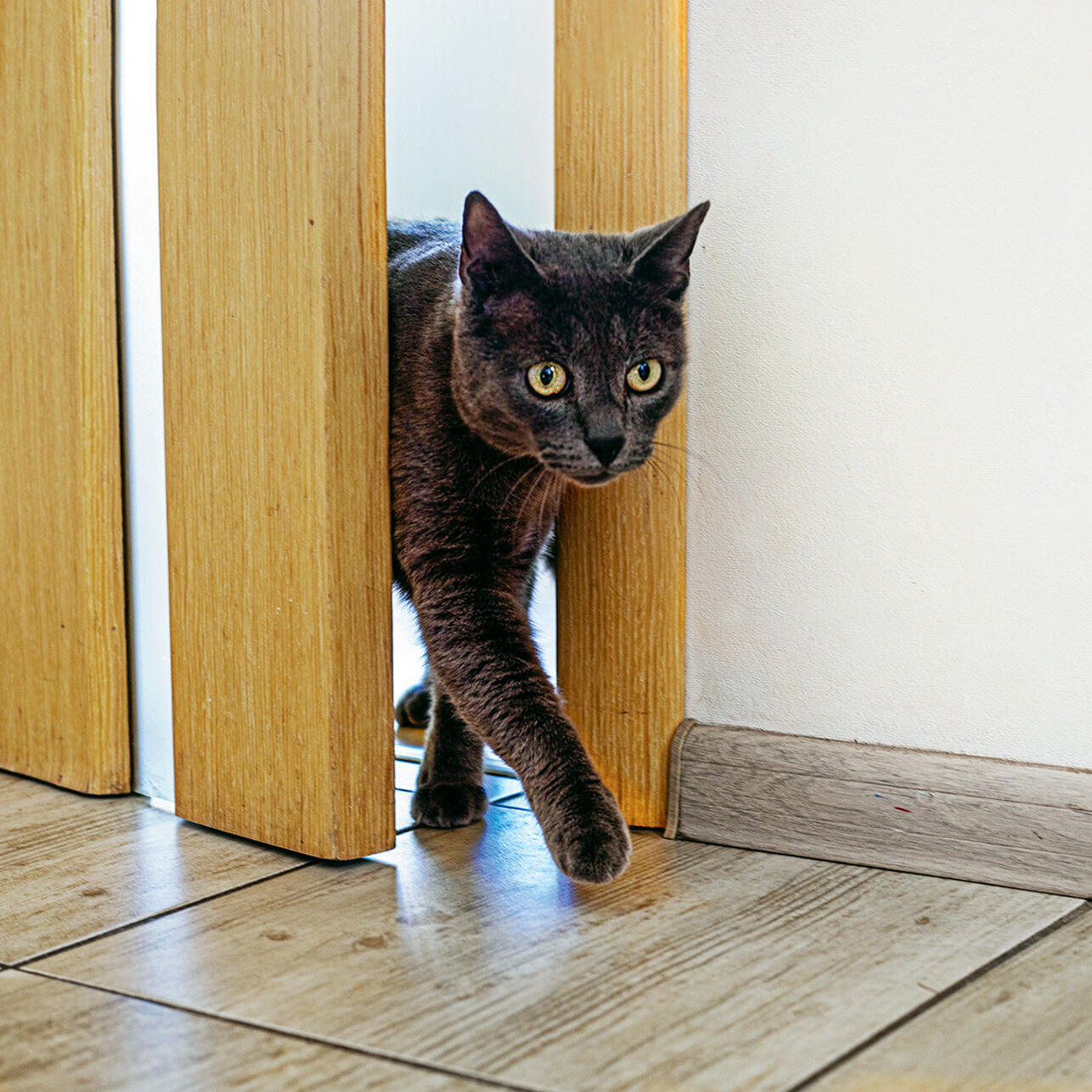 РќР&deg; СЃР&deg;РїРѕРіР&deg;С&hellip;, Р&middot;Р&micro;СЂРєР&deg;Р&raquo;Р&deg;С&hellip; Рё СЃРІР&micro;С&Dagger;Р&deg;С&hellip;: РєР&deg;Рє РіР&deg;РґР&deg;Р&raquo;Рё СЂРѕСЃСЃРёР№СЃРєРёР&micro; Р&middot;РІР&micro;Р&middot;РґС&lsaquo;