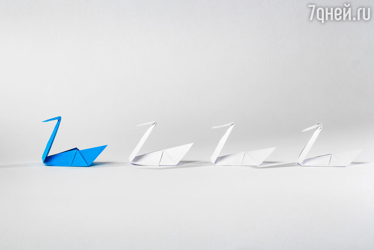 История создания бумажного самолётика, как оригами переросло в спорт