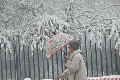 Синоптик Позднякова объявила, когда закончится снежный апокалипсис в Москве