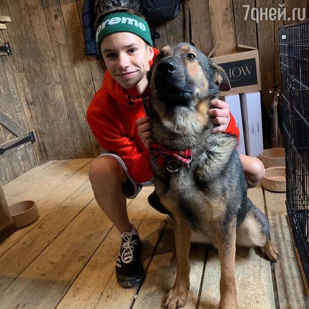 Ромео Бекхэм с псом по кличке Логан