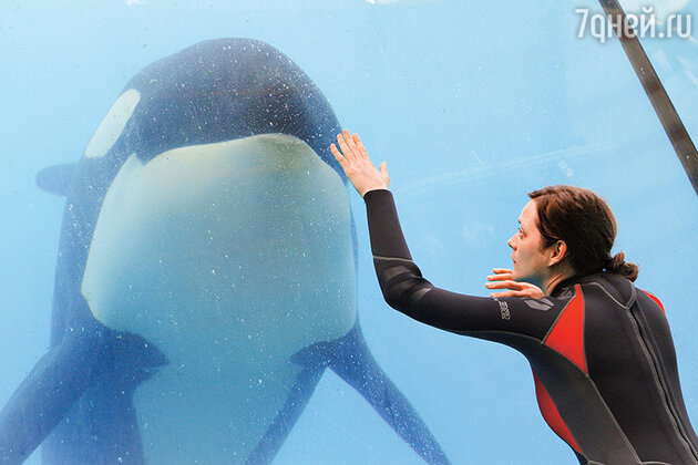 Марион Котийяр Марион Котийяр