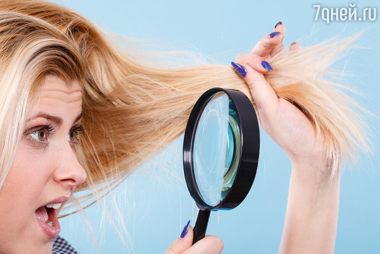 Рвутся волосы – что делать? Почему легко рвутся волосы?