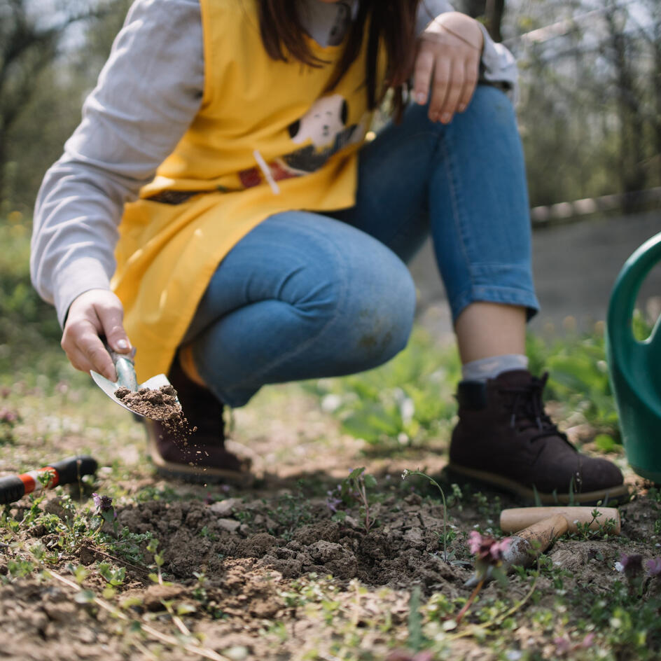 Бросьте лопату: 7 привычных работ в огороде весной, которые только губят урожай и здоровье