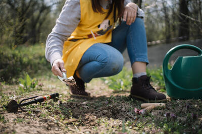 Бросьте лопату: 7 привычных работ в огороде весной, которые только губят урожай и здоровье