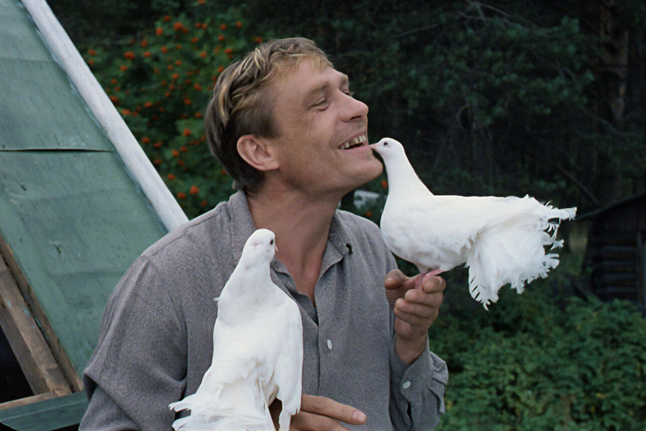 «Любовь и голуби» (1984)