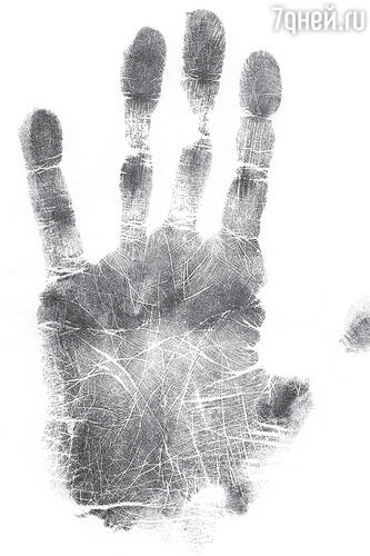 Рис. 3