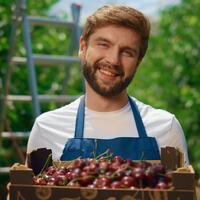 Будьте осторожны: какие растения нельзя сажать рядом с деревьями в вашем вишневом саду 