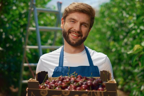 Будьте осторожны: какие растения нельзя сажать рядом с деревьями в вашем вишневом саду 