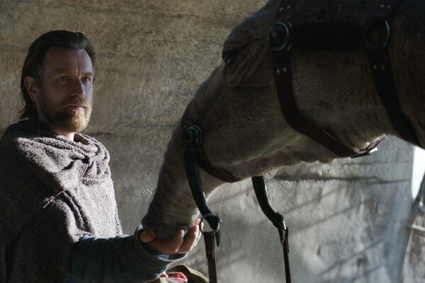 Юэн Макгрегор влюбился в верблюда на съемках «Оби-Вана Кеноби»