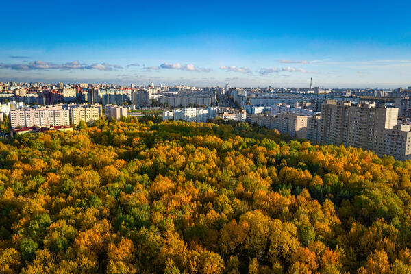 От +26 до -3: синоптики озвучили прогноз погоды на осень 2025