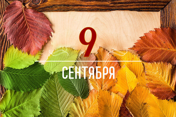       9 