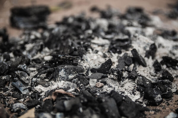 Семь неочевидных способов применять золу осенью на огороде — не узнаете участок после зимы