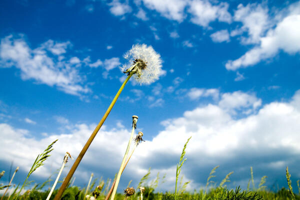 Синоптики озвучили прогноз погоды на неделю, со 2 по 8 июня — с солнцем можно попрощаться 
