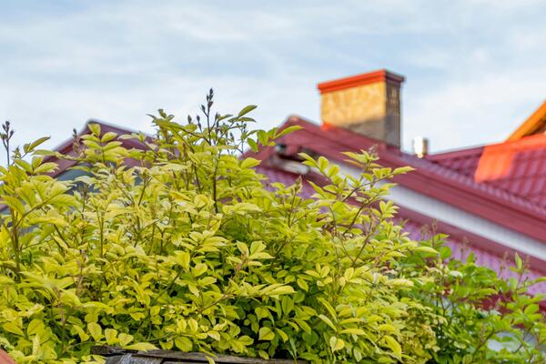 Зима близко! Вот что нужно успеть сделать на даче в ноябре, пока не выпал снег