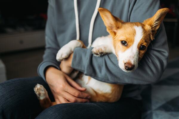 6 ноября: какой сегодня праздник?