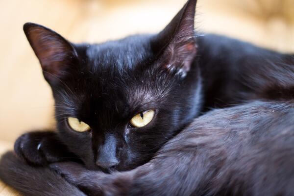 17 ноября: какой сегодня праздник?