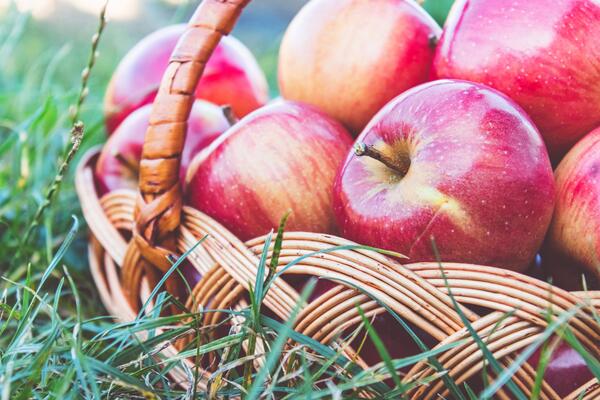 3 сентября: какой сегодня праздник?