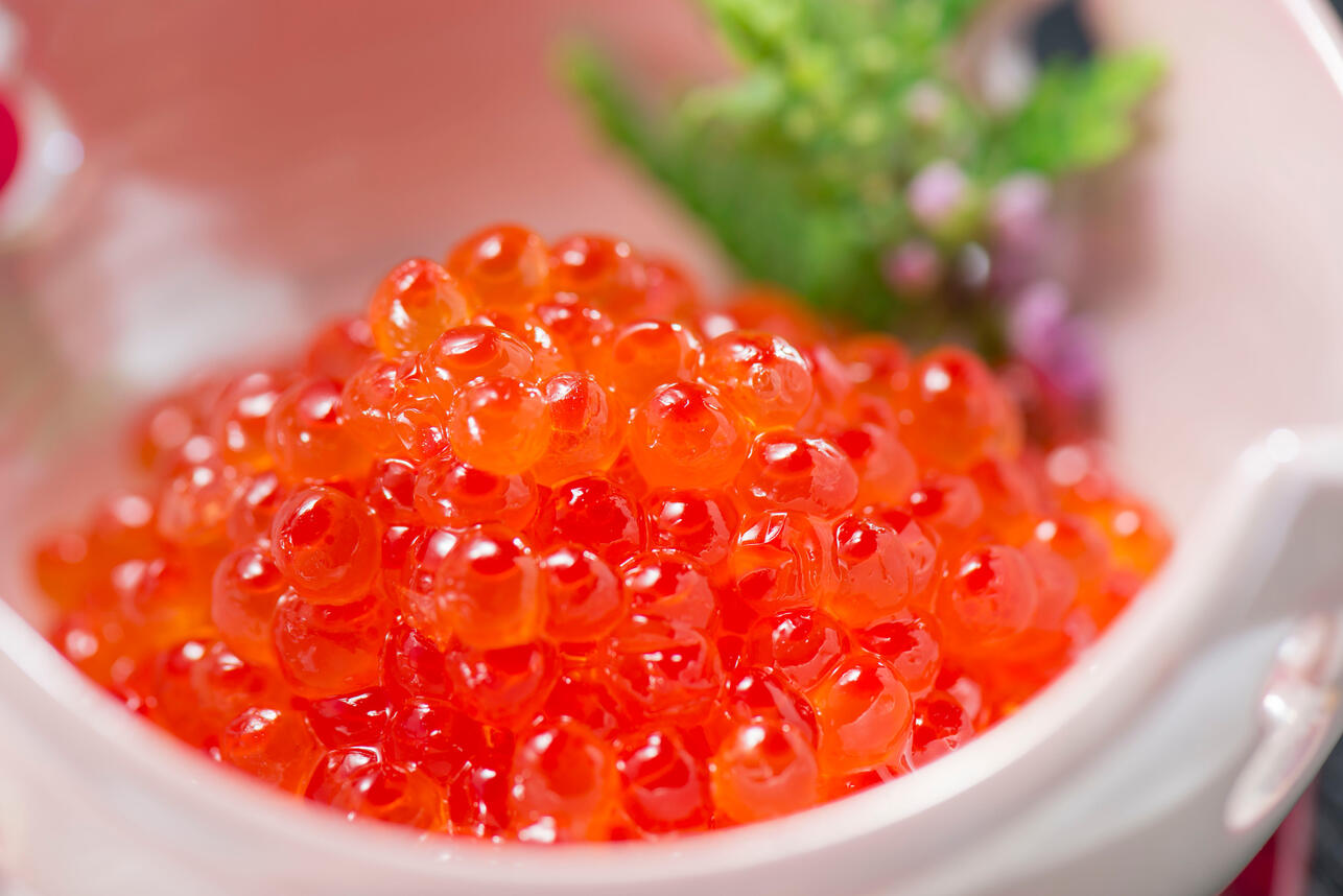 Красная икра