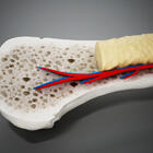 � ������ � ���������� ������� ������� ������� ������� �������� �����