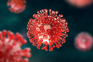 Обнаружена «подозрительная» особенность коронавируса