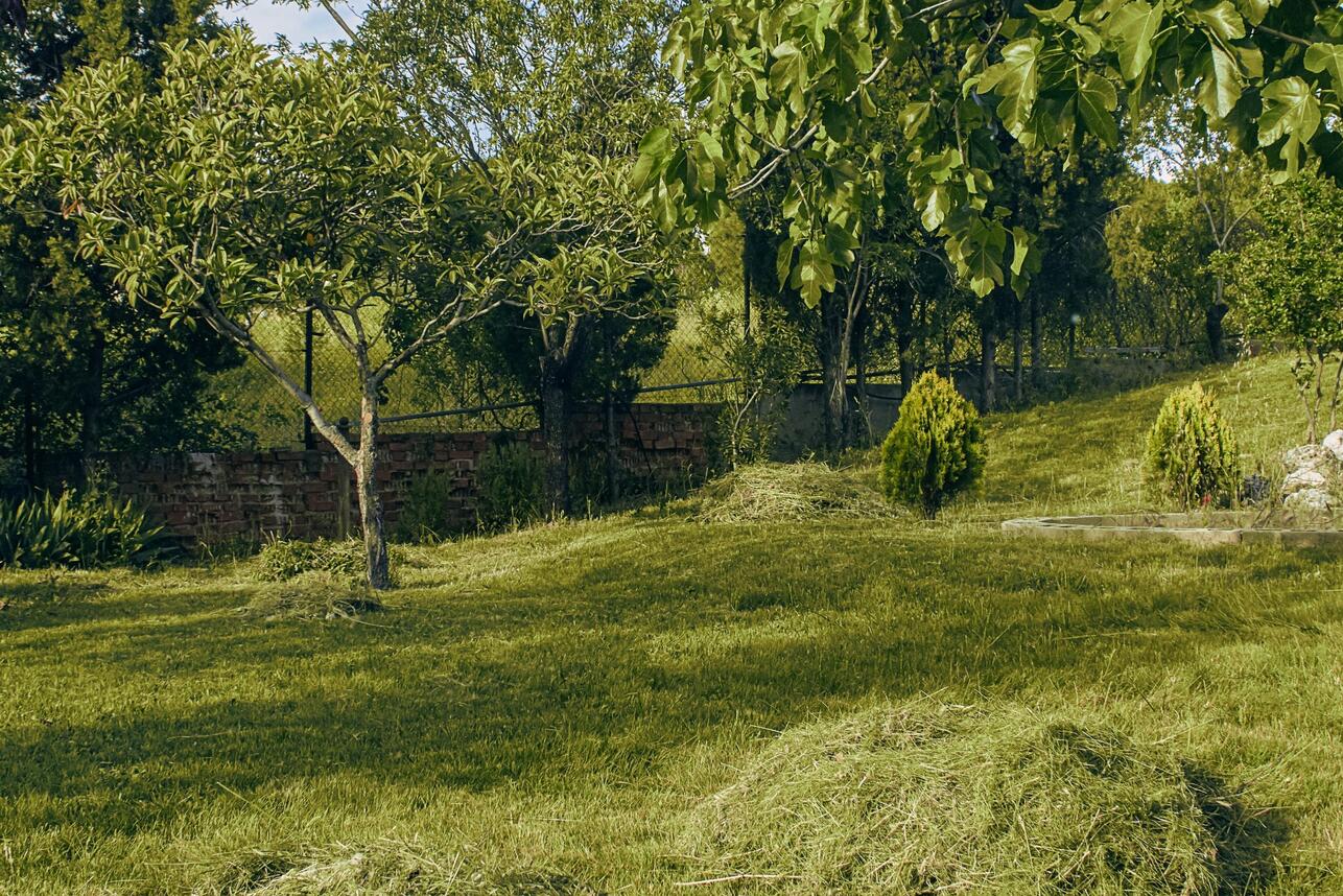 РўСЂР°РІР°