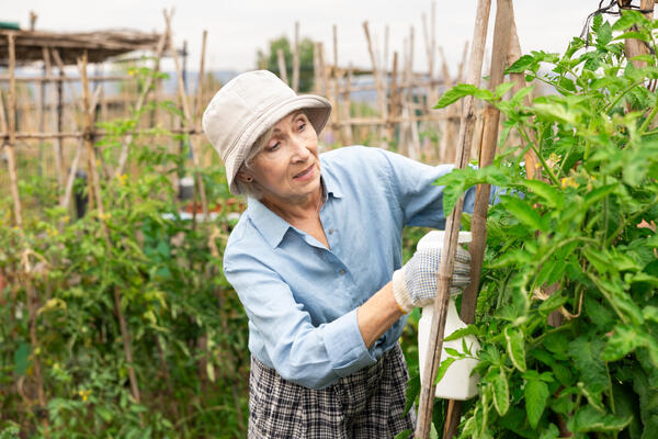 Без болей в спине и мигреней: четыре правила работы в огороде, которые многие не соблюдают