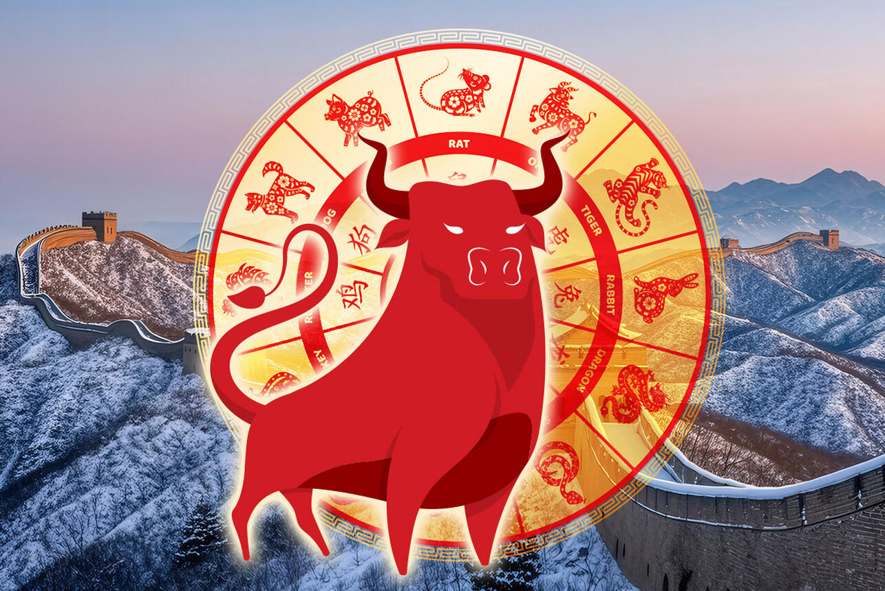 Китайский гороскоп на январь 2026 года для всех знаков восточного зодиака. Фото