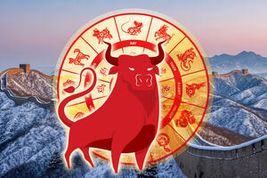 Китайский гороскоп на январь 2026 года для всех знаков восточного зодиака