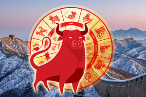 Китайский гороскоп на январь 2026 года для всех знаков восточного зодиака