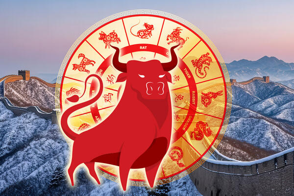Китайский гороскоп на январь 2026 года для всех знаков восточного зодиака