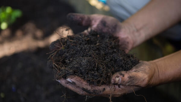 Что добавить в компост, чтобы получить чернозем — осенний активатор