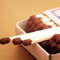 Лайфхак: как спички могут повысить урожайность на вашем огороде  