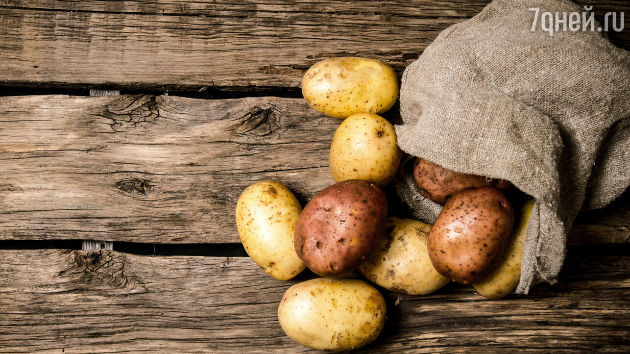Как хранить картошку - 7Дней.ру