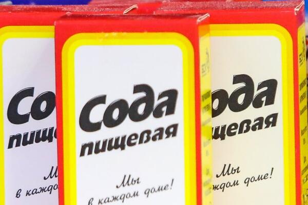Решите все проблемы в саду при помощи одного копеечного средства  