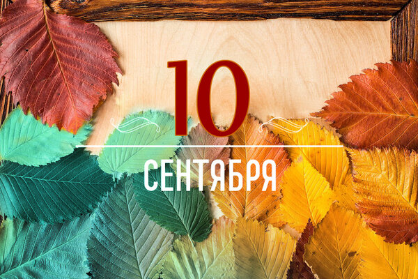       10  