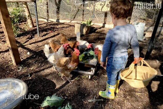 Сын Меган Маркл - Арчи, фото Сын Меган Маркл - Арчи, фото