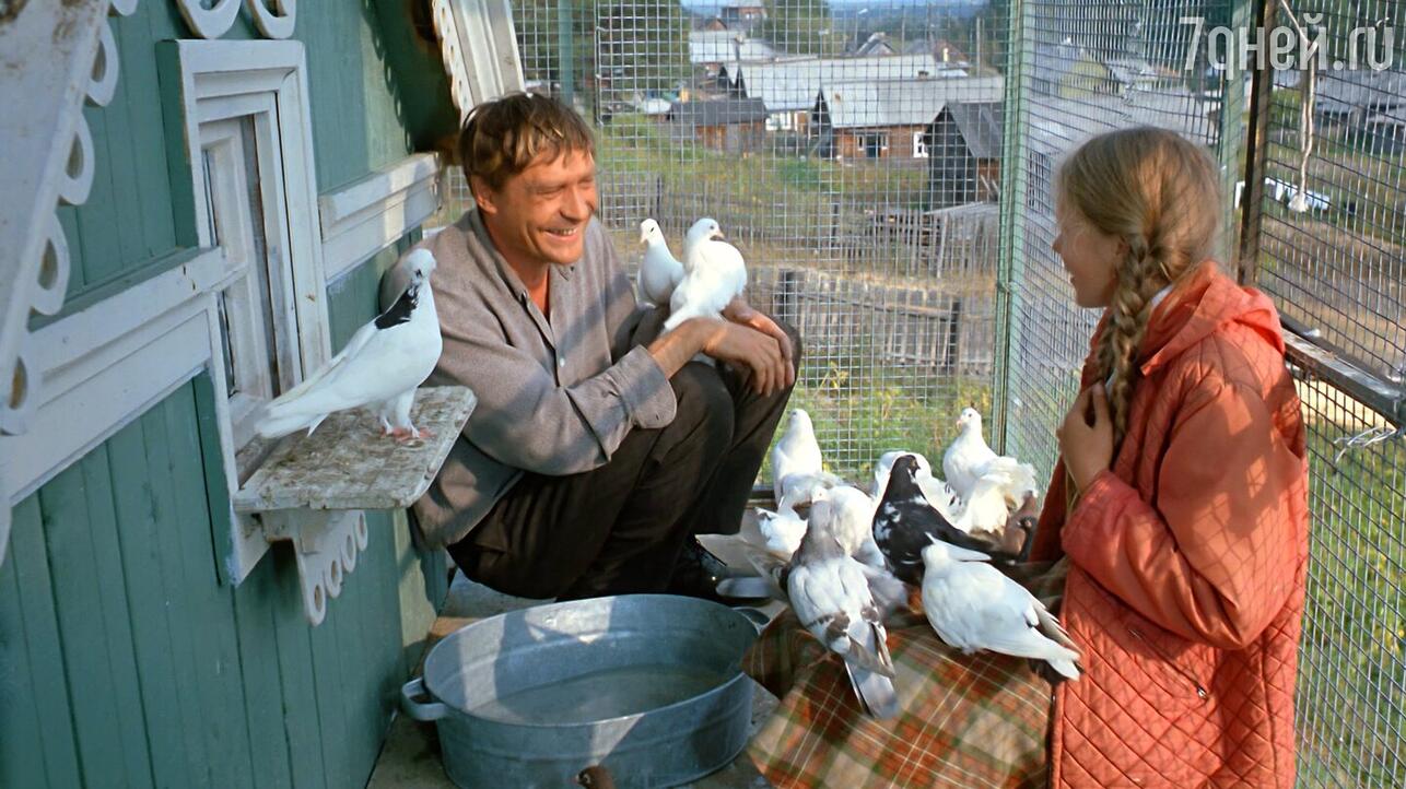 «Любовь и голуби», реж. Владимир Меньшов, фото