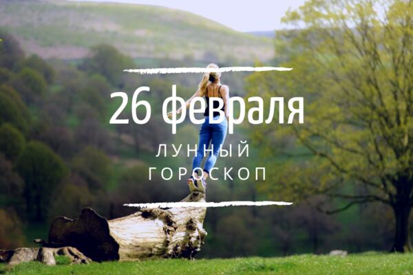    26 , 